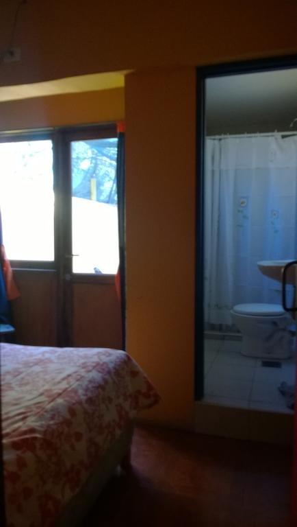 Albergue Campo Base Youth *
